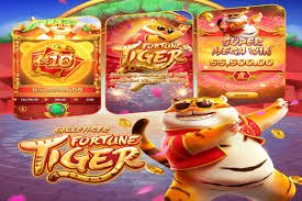 Online Bingo Room Myanmar ကစားသမားများ Live Bingo